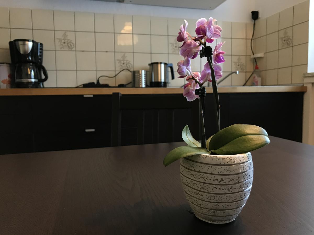 Apartmenthaus Marten Дортмунд Экстерьер фото